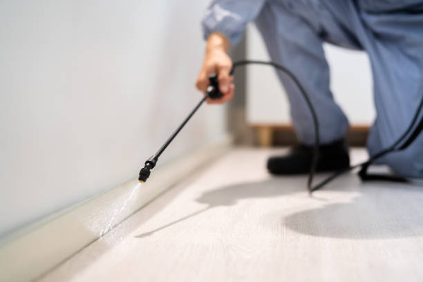 Licensed Fumigation Services service in Racine County County, WI - Nex Pest Control